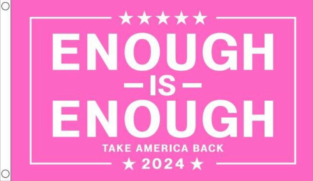 Enough Is Enough TAKE AMERICA BACK Pink Flag - Heavy Duty 3-Ply Flag